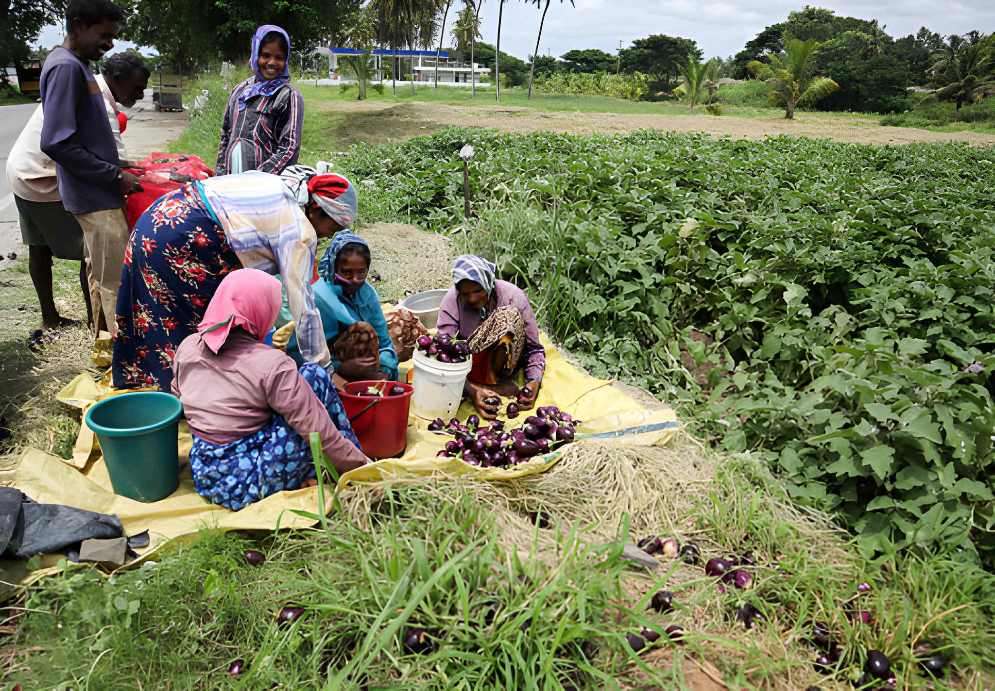 Agricultural Products